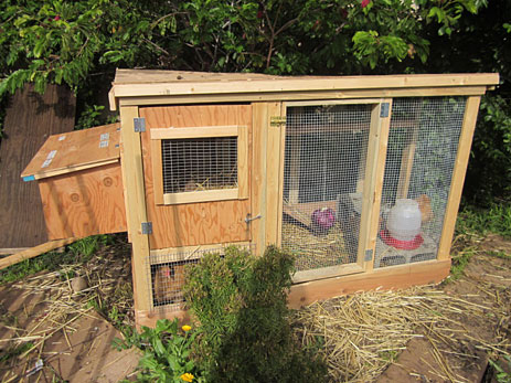 Chicken coop