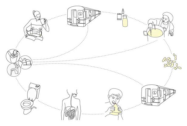 Lifecycle analysis of Human Cheese