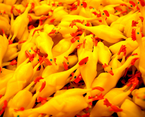 rubber chickens