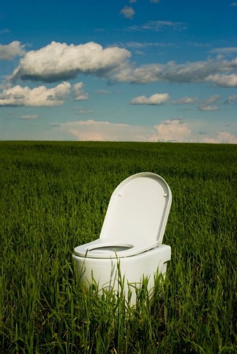 Toilet in a field