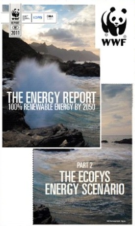 The Energy Report