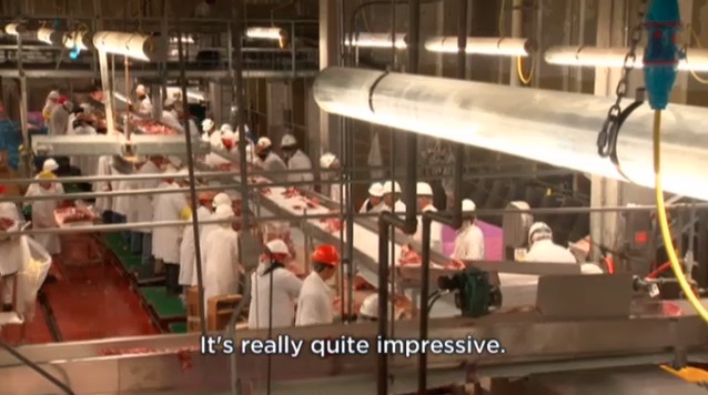 inside the slaughterhouse