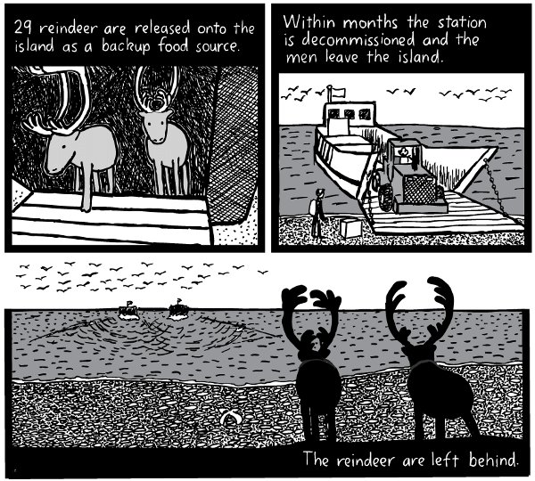 St. Matthew Island comic