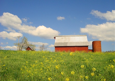 Small farm