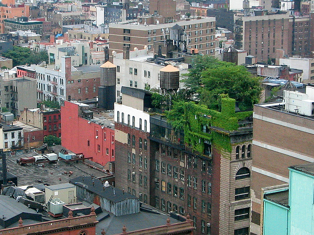 Green roof