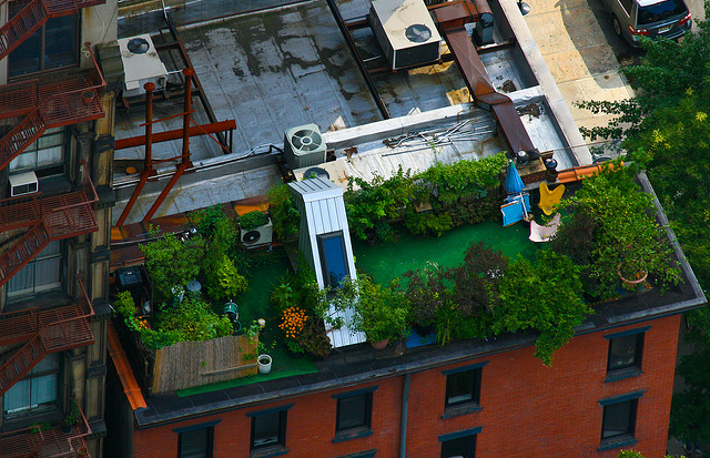 Green roof