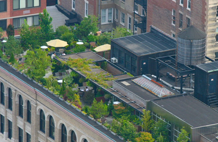 Green roof