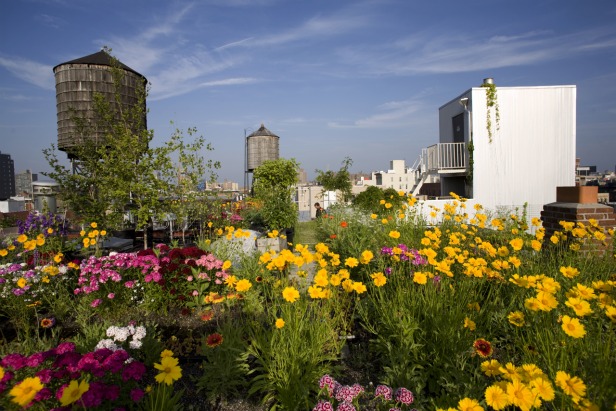 Green roof