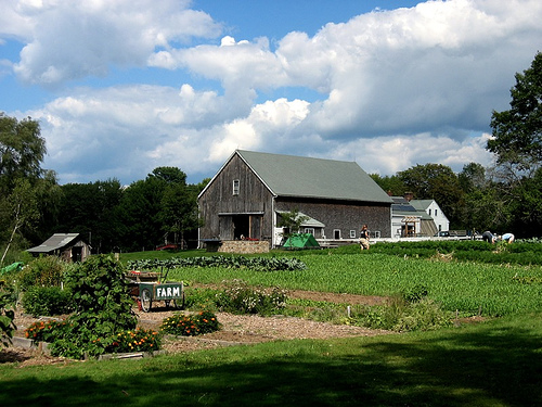 Small farm