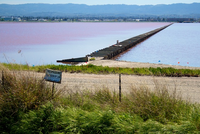 Salt ponds