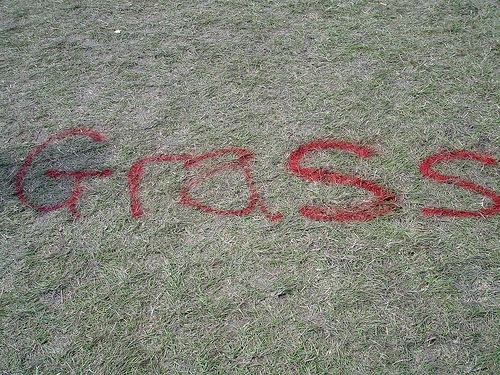 Spraypainted lawn.