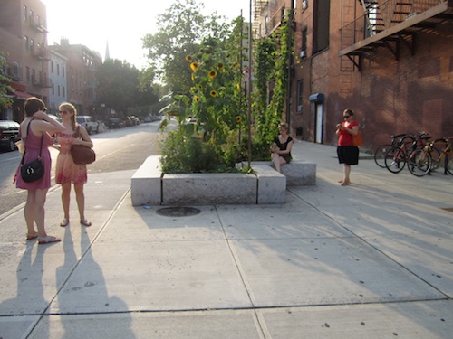 Bergen street planter