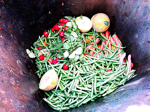 Food in Dumpster