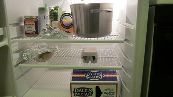 Mike's fridge