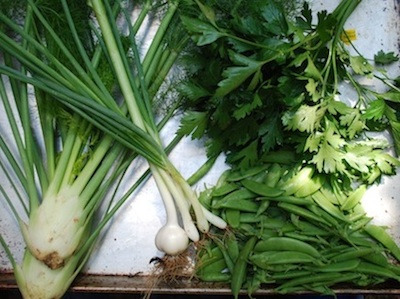 Peas, parsley, veggies