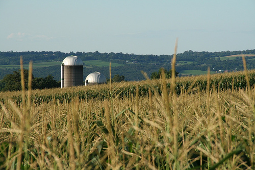 corn silos