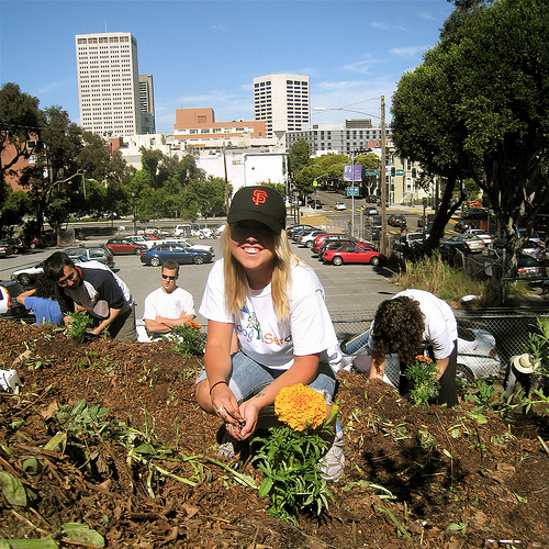 urban farm