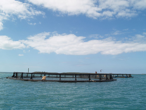 fish farm