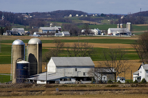 farm landscape