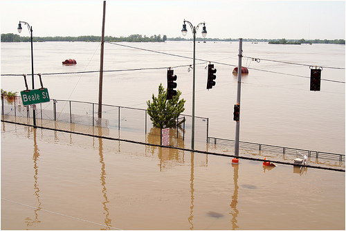 Memphis flood.