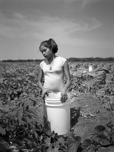 Young farmworker