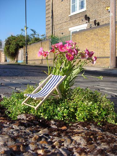 Pothole garden.