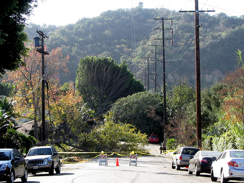 Wind storm.