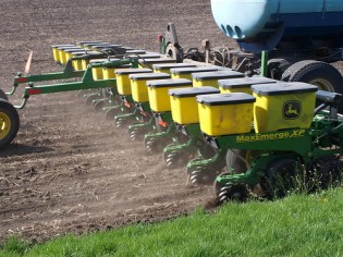 planting corn