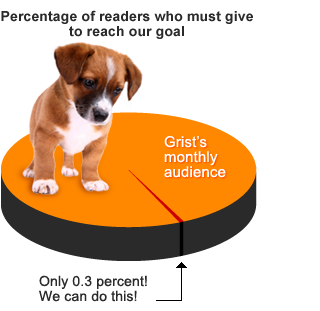 Puppy Chart