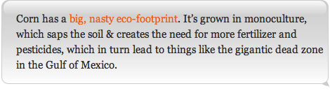 Corn has a big, nasty eco-footprint. It's grown in monoculture, which saps the soil & creates the need for more fertilizer and pesticides, which in turn lead to things like the gigantic dead zone in the Gulf of Mexico.