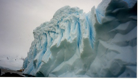 antarctic ice