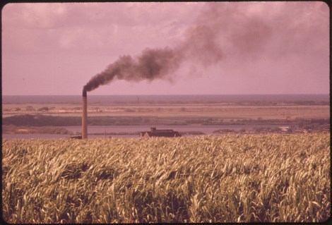 oahu sugar smoke