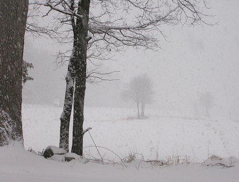 snowy field