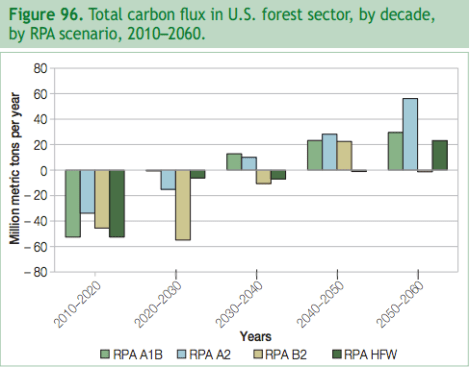 carbon flux