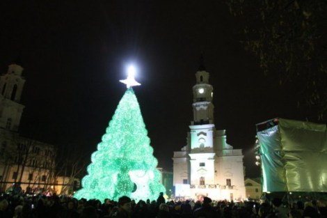 kaunas_tree_1