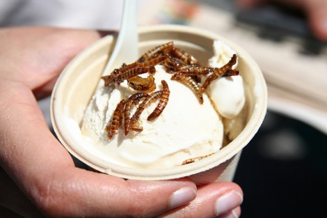 mealworm_ice_cream