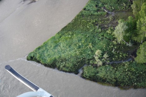 Oil soaks the Yellowstone River shoreline, thanks to the fine folks at Exxon