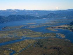 The Columbia River meets the sea near the site of the proposed terminal.