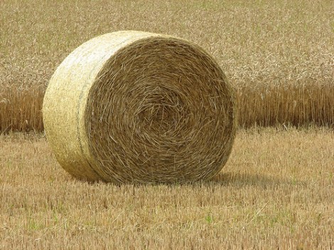 hay bale