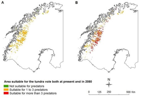 Suitable area for the tundra vole and its suitability for potential predators. “A” shows 2000 and “B” shows one 2080 scenario. 