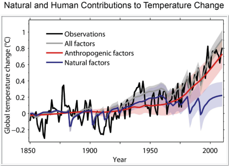 Causes of global warming, per a Congressionally mandated government report. Click to embiggen.