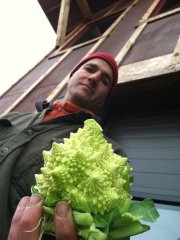 Dean Williamson shows off his romanesco.