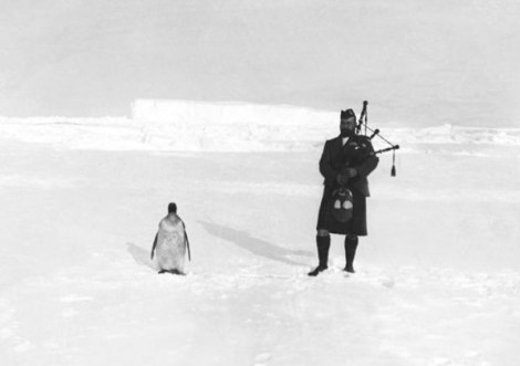 penguin_bagpiper