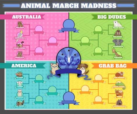 buzzfeed_animals_bracket