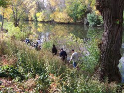 chicago riverbank