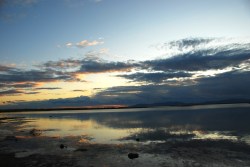 Beaver dams prevented diesel from reaching Willard Bay