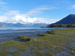 alaska coast