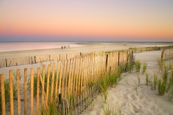 A view of warming waters, from Cape Cod