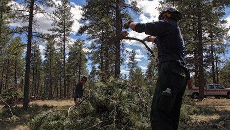 The fire crew builds a “slash pile.” 