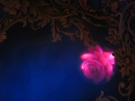 glowing rose